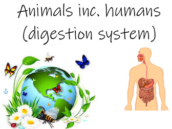 Year 4 Animals including Humans: Full Science Unit