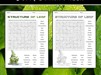 Structure of Leaf Word Search Puzzle