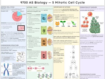 Mitotic Cell Cycle Knowledge Organiser AS Bio