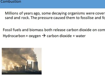 GCSE AQA B16 Ecosystems Powerpoints, exam questions and activities