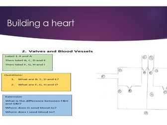 GCSE EDEXCEL PE (New Specification) - Cardio-respiratory overview, PPs and resources