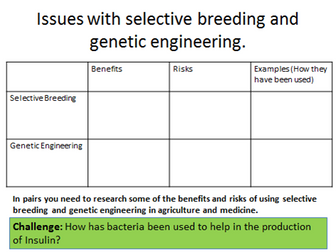 NEW Edexcel 9-1 Biology - Genetic engineering and selective breeding