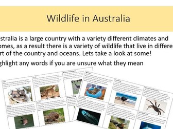 Wildlife in Australia