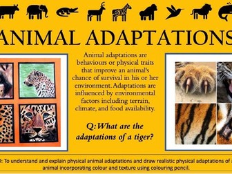 Animal adaptions