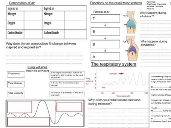 Edexcel GCSE PE Paper 1- The Respiratory system revision mind map