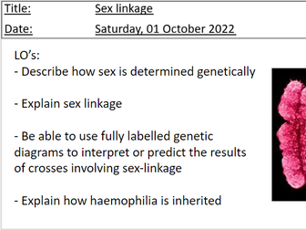 Sex linkage A level Biology