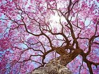 EDEXCEL IGCSE AUDIO POETRY (Part 3)