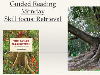 Guided Reading - whole week The Great Kapok Tree KS2