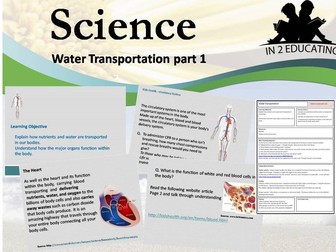 Science ks 2 water transportation around the body