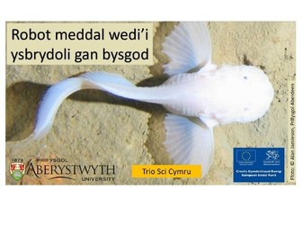 Robot meddal wedi’i ysbrydoli gan bysgod