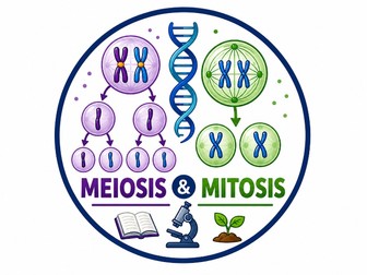 Meiosis and Mitosis