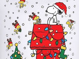 KS3 /4 French Christmas