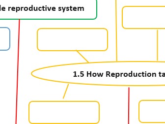 Child Development - Pre Conceptual Health and Reproduction