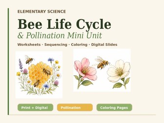 Bee Life Cycle Worksheets + Pollination Activities | Print
