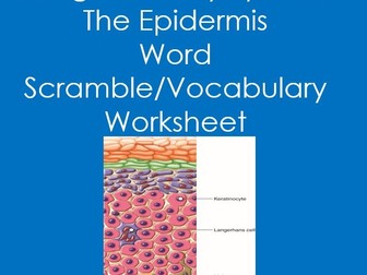 Integumentary System:  The Epidermis Word Scramble/Vocabulary (Anatomy, Skin)