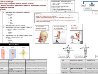 OCR GCSE PE Paper 1 Revision