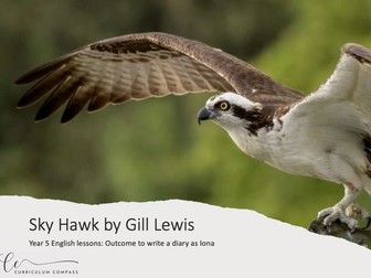 Week 1 Colourful semantics (Sky Hawk by Gill Lewis - writing a diary entry)