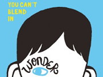 UKS2 (Y5 / Y6) 7 week guided reading unit based on the novel: Wonder