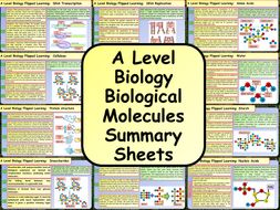 A Level Biology Biological Molecules Summary Sheets | Teaching Resources
