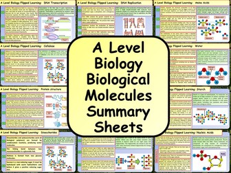 A Level Biology Biological Molecules Summary Sheets