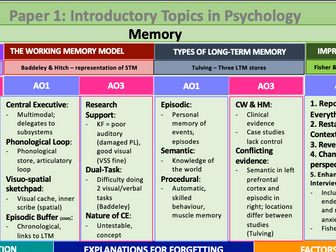 Memory Revision Map