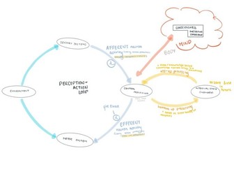 Sensory systems - neuroscience