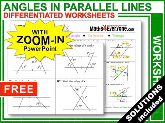 Angles in Parallel Lines (Worksheets with Answers)