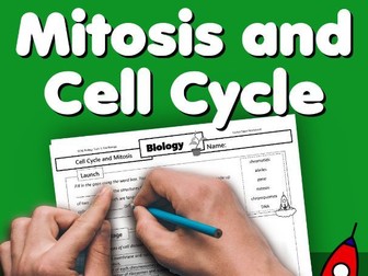 Mitosis and the Cell Cycle Home Learning Worksheet GCSE