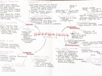 aqa business summaries/mindmaps