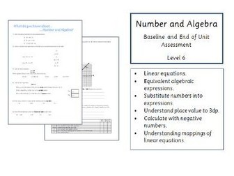 Number and Algebra Baseline Assessment or Worksheet