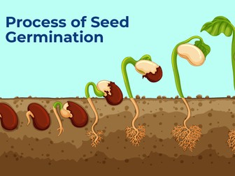 Seed germination investigation lesson plan