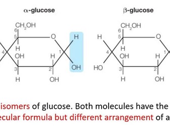 IAL Biology Lesson 1 Monosaccharides and Disaccharides