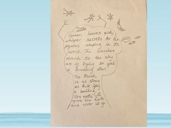 KS2 Water Poetry Unit  - 2 weeks of lessons and worksheets
