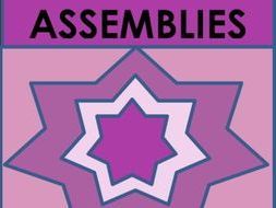 Assembly Bundle (12 assemblies)