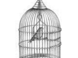 the caged skylark the caged skylark