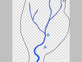 Drainage Basins