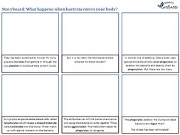 Storyboard: What happens when bacteria enter your body?