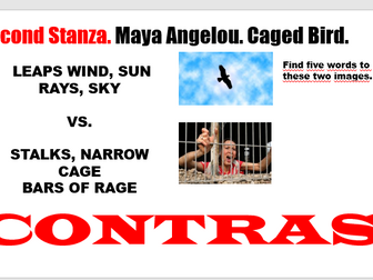 Caged Bird. Maya Angelou. Themes and Structure