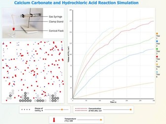 Interactive Reaction Rate Simulation