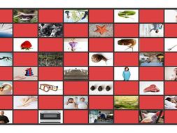 Phonics Consonant Blends sm-sn-sw-sl-pr-st Photo Checkerboard Game