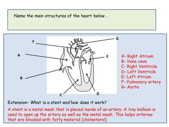 New GCSE 1-9 B4 end of topic revision