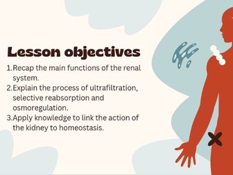 T Level Health - The Renal System