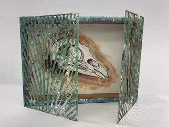 Cabinet of curiosity skills workshop