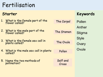KS3 Plants - Lesson 4 - Fertilisation