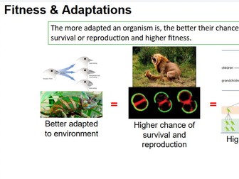 Natural Selection and Speciation A Level - Plus Exam Questions/Answers