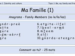 GCSE Vocabulary and Sentence Level Tasks - Ma Famille - EDITED