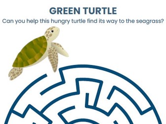 Green Turtle Maze