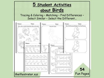 5 Printable Student Activities About Birds to Build Problem Solving Skills