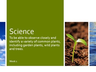 Outdoor Science and Plants