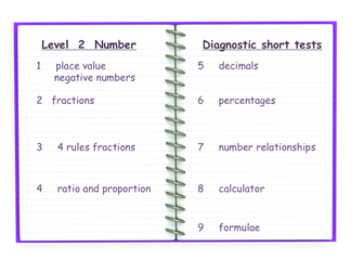 Functional Skills Diagnostic Tests - Number - L2